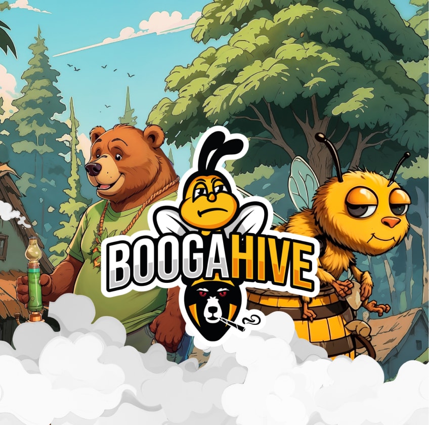 Проєкт BoogaHive